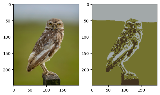 An example image shown alongside the same image after clustering.